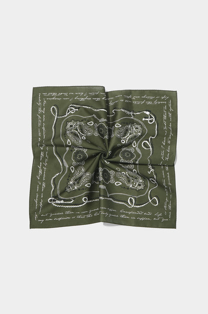 Versatile Paisley Elegance Scarf