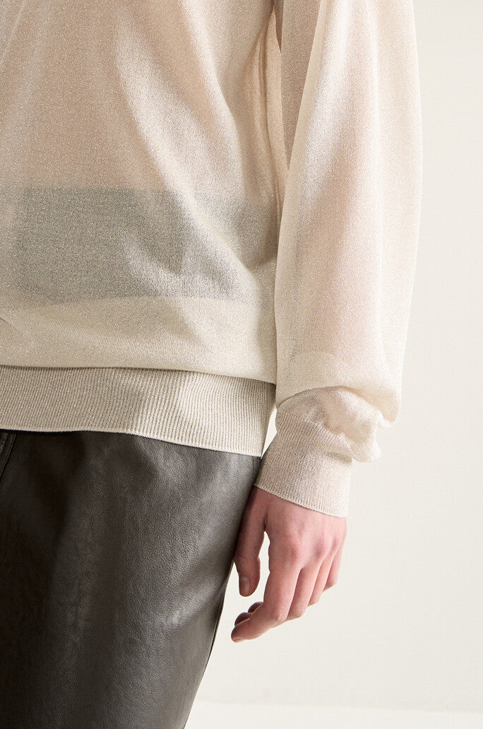 Metallic Knit Top