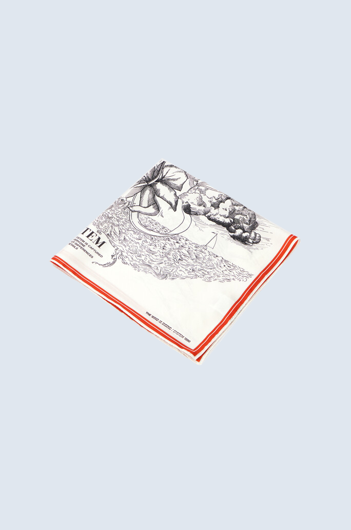 Printed Silk Scarf